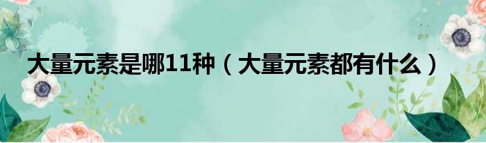 大量元素是哪11种（大量元素都有什么）