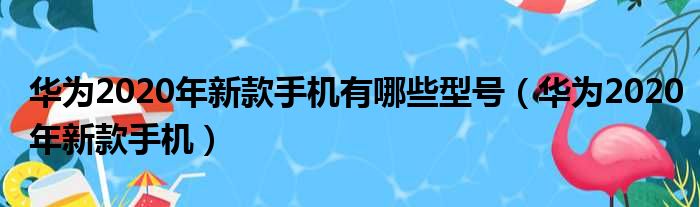 华为2020年新款手机有哪些型号（华为2020年新款手机）