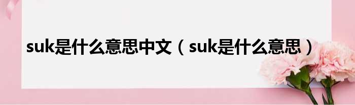 suk是什么意思中文（suk是什么意思）