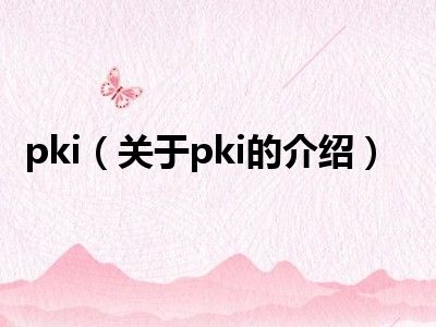 pki（关于pki的介绍）