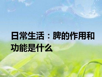 日常生活：脾的作用和功能是什么