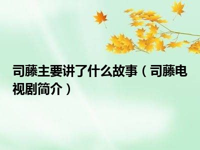 司藤主要讲了什么故事（司藤电视剧简介）