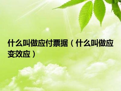 什么叫做应付票据（什么叫做应变效应）