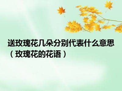 送玫瑰花几朵分别代表什么意思（玫瑰花的花语）