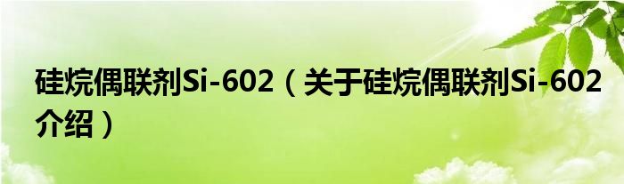  硅烷偶联剂Si-602（关于硅烷偶联剂Si-602介绍）