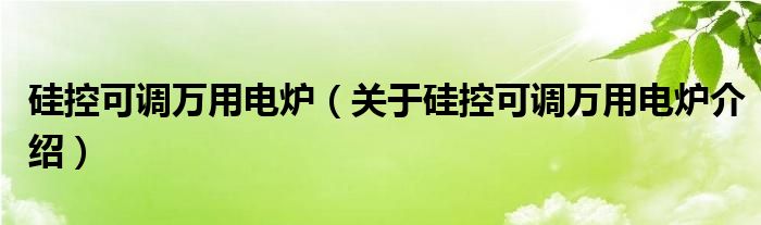  硅控可调万用电炉（关于硅控可调万用电炉介绍）