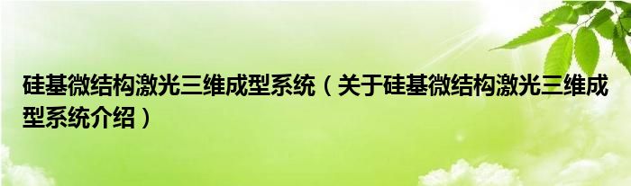  硅基微结构激光三维成型系统（关于硅基微结构激光三维成型系统介绍）