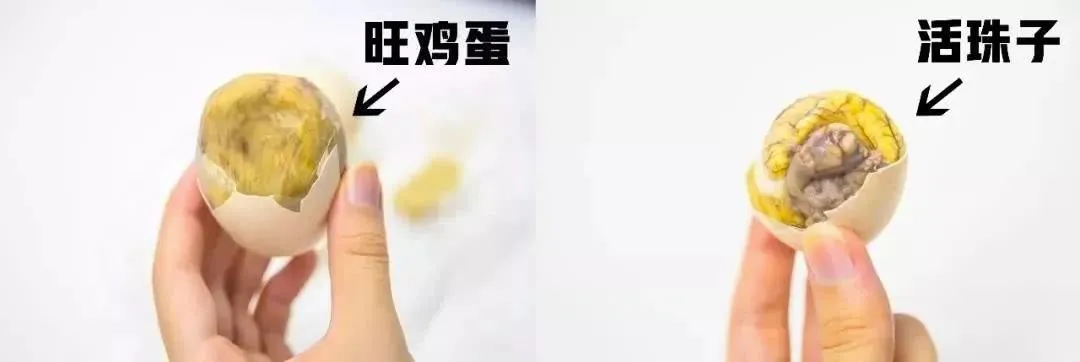 活珠子是南京特产吗（活珠子是哪里的特产）(图9)