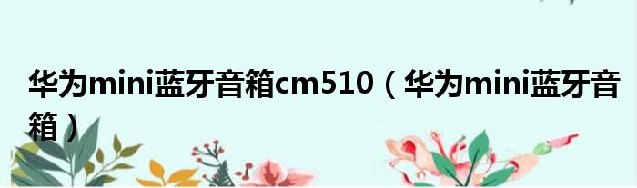 华为mini蓝牙音箱cm510（华为mini蓝牙音箱）