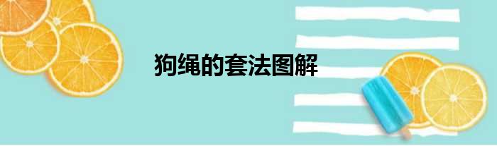 狗绳的套法图解