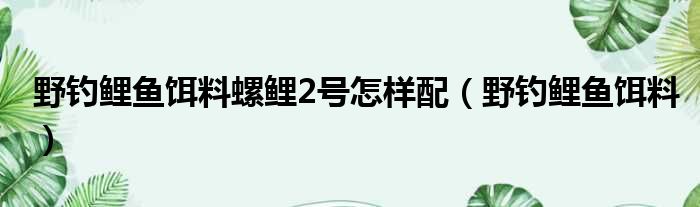 野钓鲤鱼饵料螺鲤2号怎样配（野钓鲤鱼饵料）