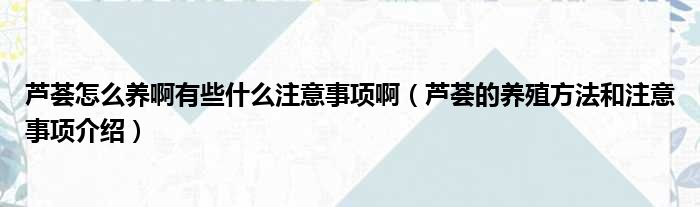 芦荟怎么养啊有些什么注意事项啊（芦荟的养殖方法和注意事项介绍）