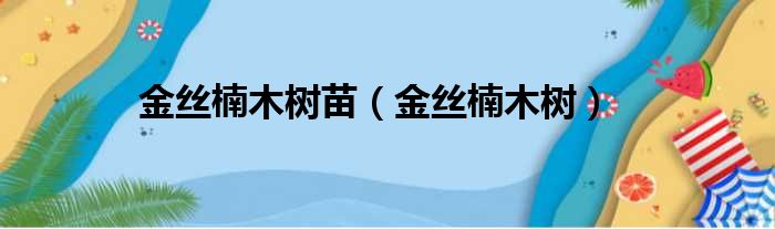 金丝楠木树苗（金丝楠木树）