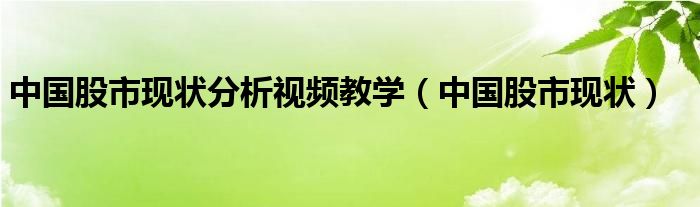 中国股市现状分析视频教学（中国股市现状）