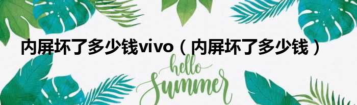 内屏坏了多少钱vivo（内屏坏了多少钱）