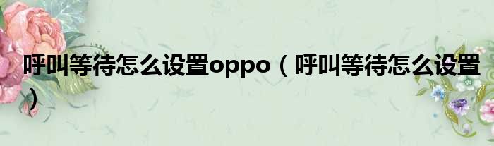 呼叫等待怎么设置oppo（呼叫等待怎么设置）