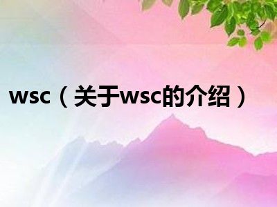 wsc（关于wsc的介绍）