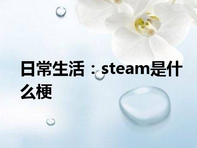 日常生活：steam是什么梗