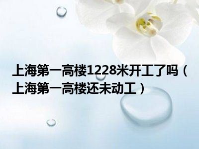 上海第一高楼1228米开工了吗（上海第一高楼还未动工）