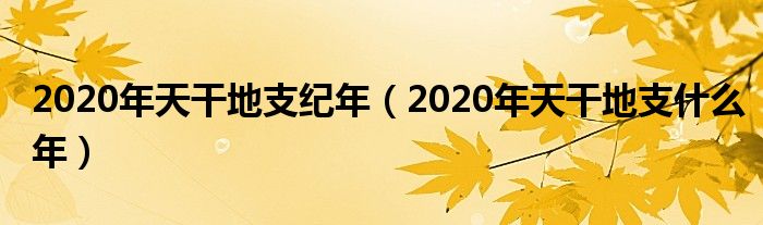 2020年天干地支纪年（2020年天干地支什么年）