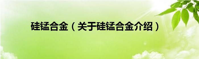  硅锰合金（关于硅锰合金介绍）