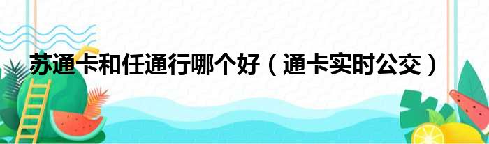 苏通卡和任通行哪个好（通卡实时公交）