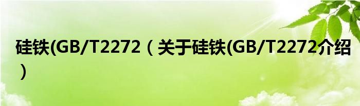  硅铁(GB/T2272（关于硅铁(GB/T2272介绍）