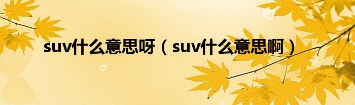 suv什么意思呀（suv什么意思啊）