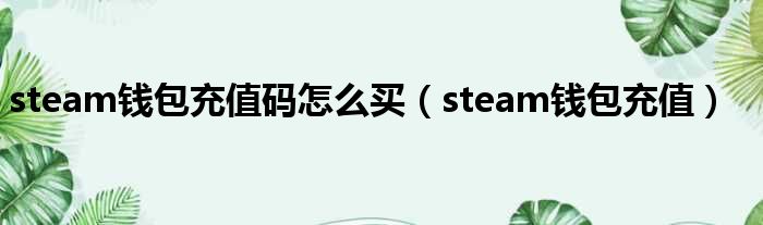 steam钱包充值码怎么买（steam钱包充值）