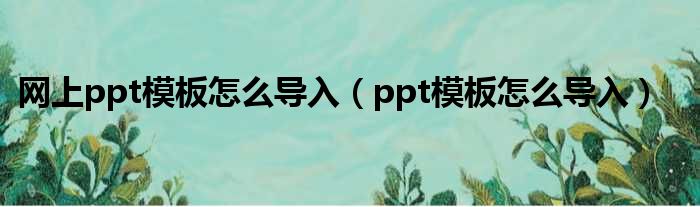 网上ppt模板怎么导入（ppt模板怎么导入）