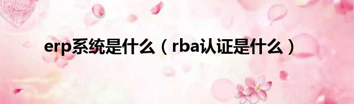 erp系统是什么（rba认证是什么）