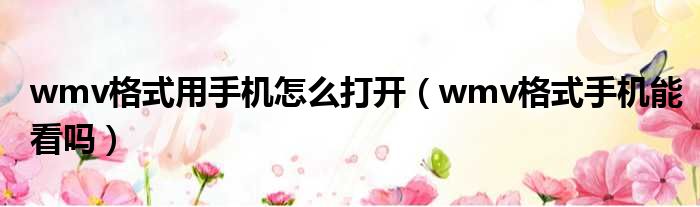 wmv格式用手机怎么打开（wmv格式手机能看吗）