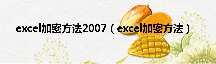 excel加密方法2007（excel加密方法）