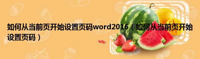 如何从当前页开始设置页码word2016（如何从当前页开始设置页码）