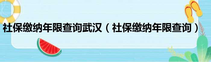 社保缴纳年限查询武汉（社保缴纳年限查询）