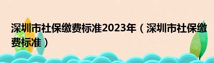 深圳市社保缴费标准2023年（深圳市社保缴费标准）