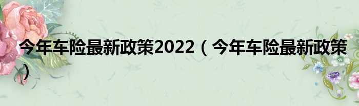 今年车险最新政策2022（今年车险最新政策）