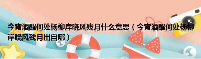 今宵酒醒何处杨柳岸晓风残月什么意思（今宵酒醒何处杨柳岸晓风残月出自哪）