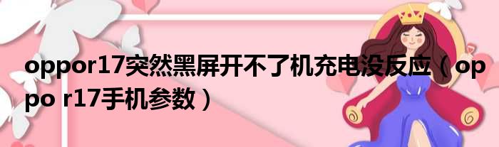 oppor17突然黑屏开不了机充电没反应（oppo r17手机参数）
