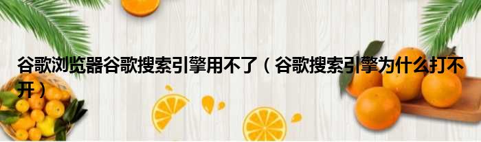 谷歌浏览器谷歌搜索引擎用不了（谷歌搜索引擎为什么打不开）