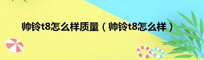 帅铃t8怎么样质量（帅铃t8怎么样）