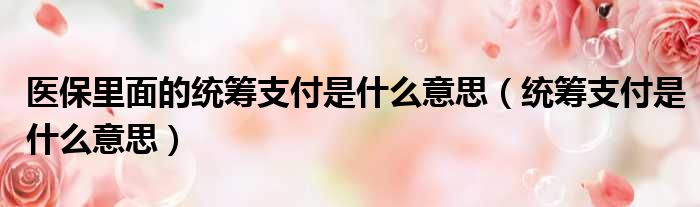 医保里面的统筹支付是什么意思（统筹支付是什么意思）