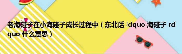 老海碰子在小海碰子成长过程中（东北话 ldquo 海碰子 rdquo 什么意思）