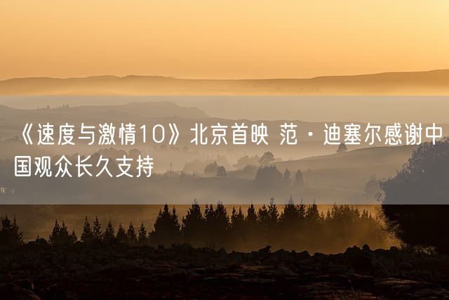 《速度与激情10》北京首映 范·迪塞尔感谢中国观众长久支持