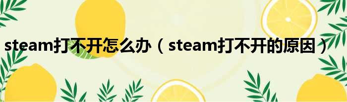 steam打不开怎么办（steam打不开的原因）