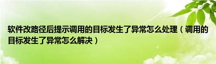 软件改路径后提示调用的目标发生了异常怎么处理（调用的目标发生了异常怎么解决）