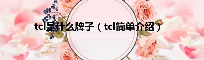 tcl是什么牌子（tcl简单介绍）