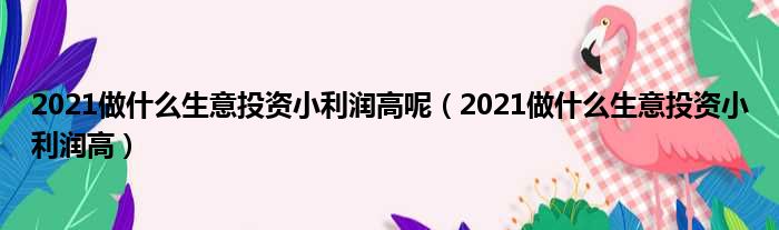 2021做什么生意投资小利润高呢（2021做什么生意投资小利润高）