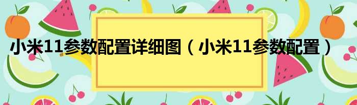 小米11参数配置详细图（小米11参数配置）