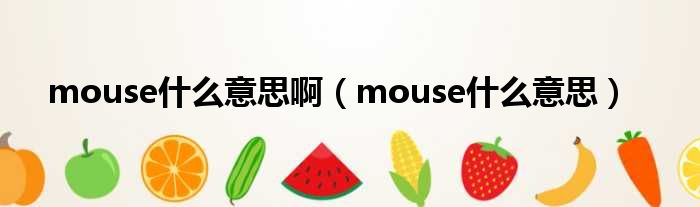 mouse什么意思啊（mouse什么意思）